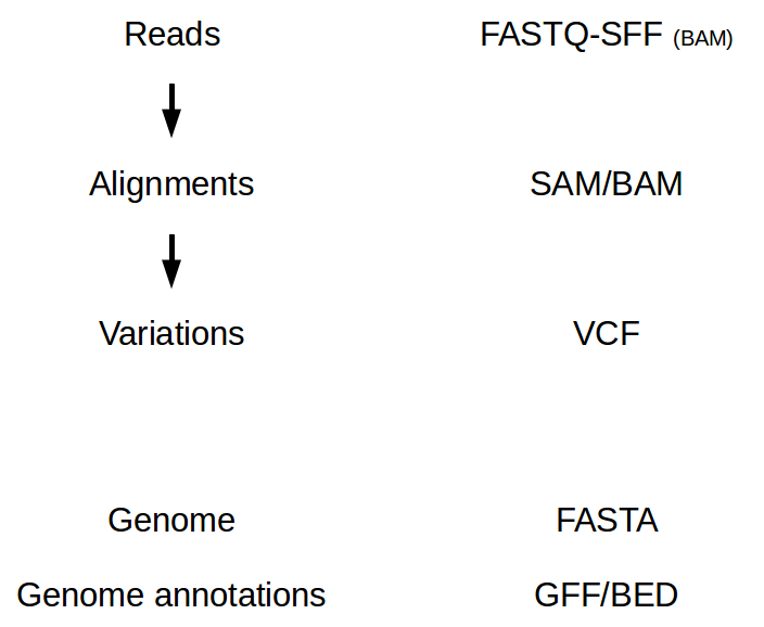 NGS File Formats Bioinformatics At COMAV 0 1 Documentation