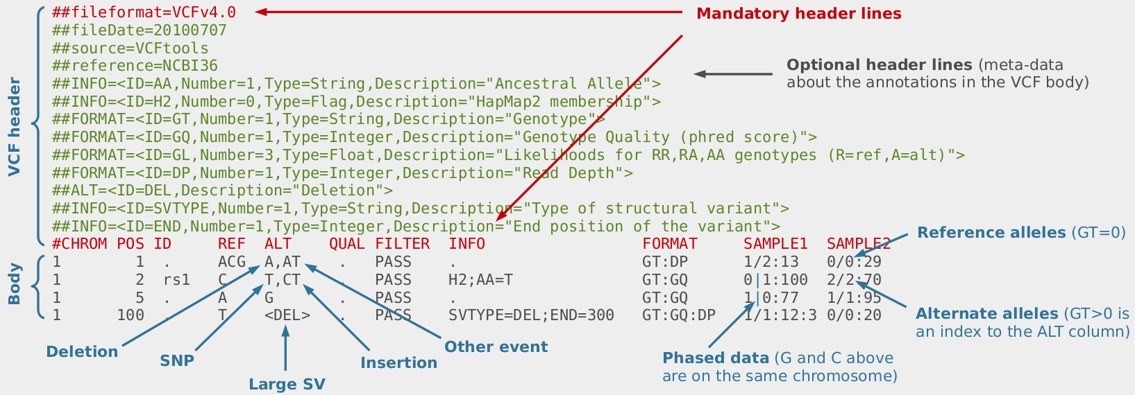 VCF file format